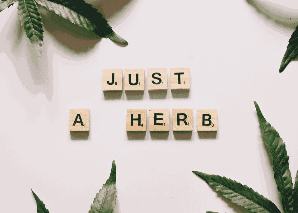 Image with the text "Just a herb" in English, symbol of 420