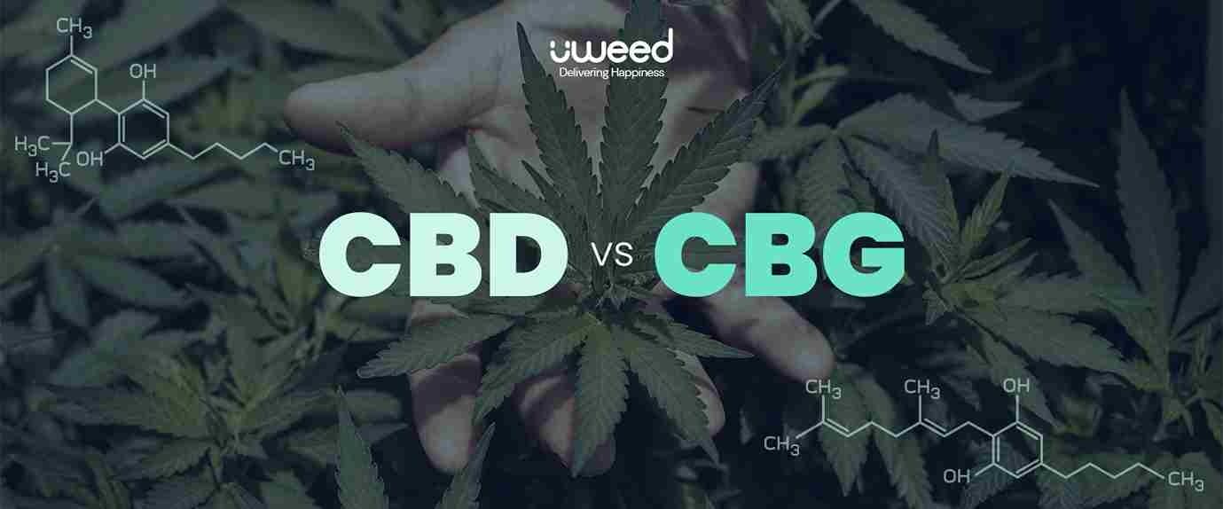CBD vs CBG