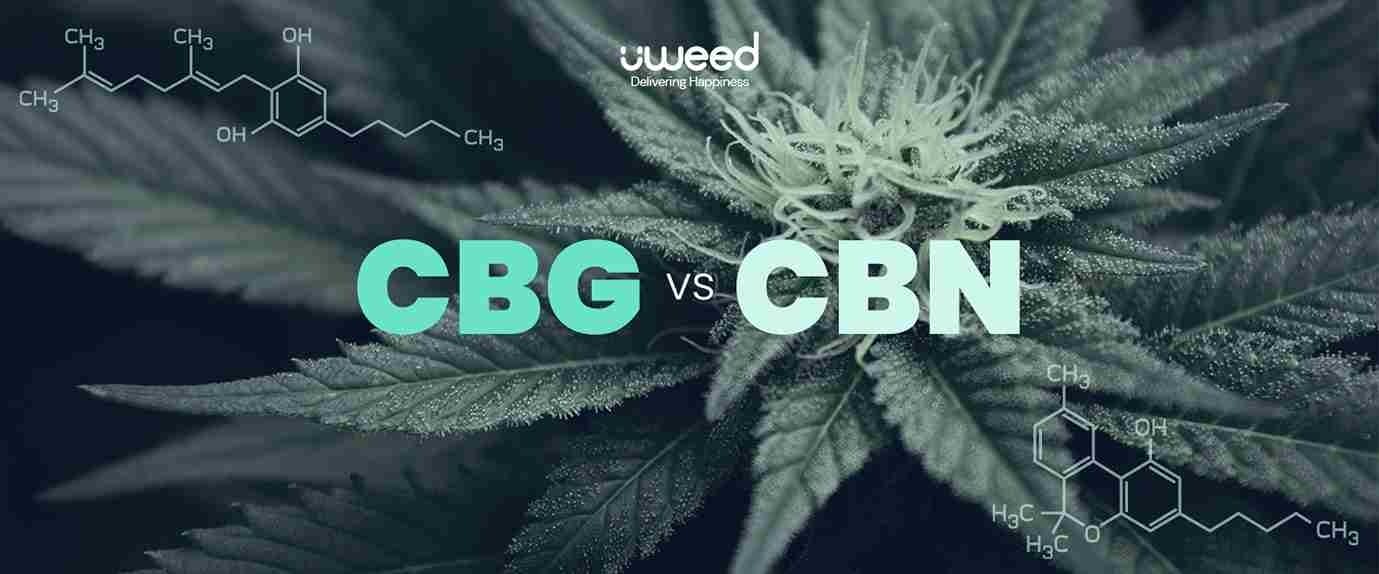 CBG vs CBN