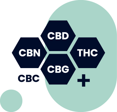 complet. Image representing a full-spectrum CBD product