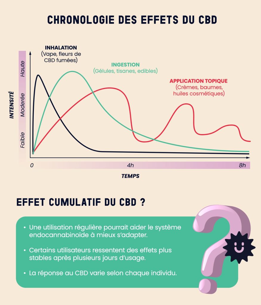 Infographie représentant la chronologie des effets du CBD selon le mode de consommation. Elle illustre le temps avant les premiers effets et la durée moyenne des effets pour l'inhalation (vape, fleurs de CBD fumées), l'ingestion (gélules, tisanes, edibles) et l'application topique (crèmes, baumes, huiles cosmétiques). Un encadré indique également l'effet cumulatif potentiel du CBD en fonction de l'usage régulier.